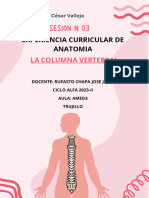 Anatomia - Columna Vertebral s3