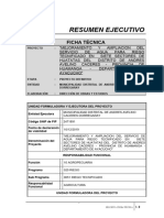 05.-Resumen Ejecutivo