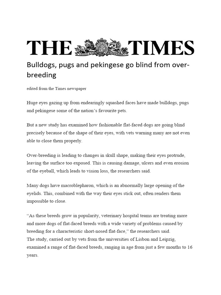Bulldogs Pugs and Pekingese Go Blind From Over Breeding PDF