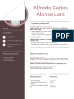 CV Alfredo Carlos Alonso Lara