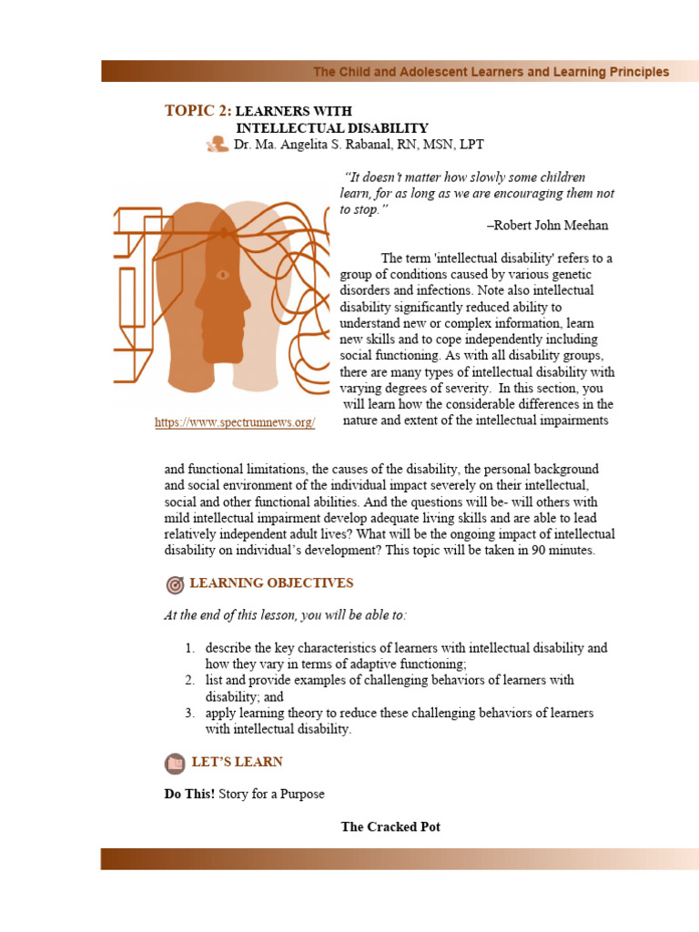 Understanding Intellectual Disabilities | PDF