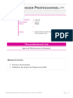 Dossier Professionnelpeinture PDF