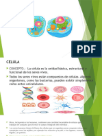 Generalidades de La Bioquimica Celular