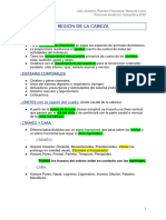 Resumen Anato Topografica 2022