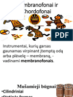 Membranofonai Ir Chordofonai - Kopija