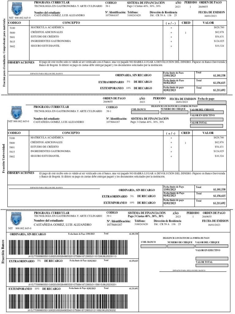 Recibo de Pago | Descargar gratis PDF | Bancos | Cheque