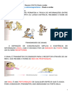 Resumo 2-01 F11 Sinais e Ondas