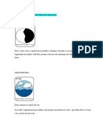 Estudo Da Criação