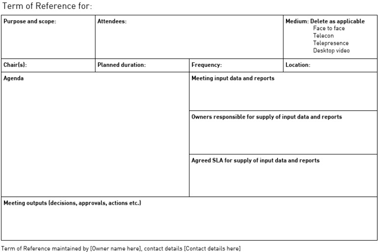 Meeting Terms of Reference Template | PDF