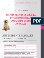 Delitos Contra Los Animales