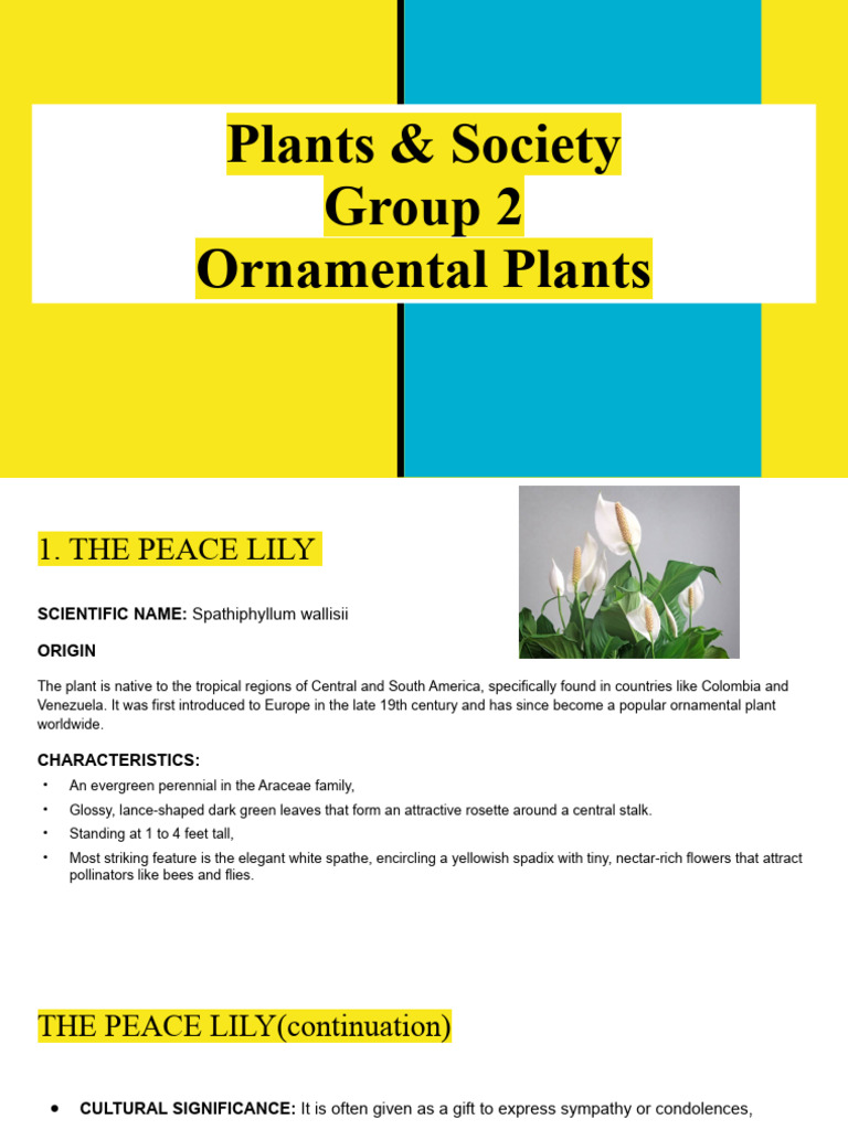Ornamental Plants | PDF