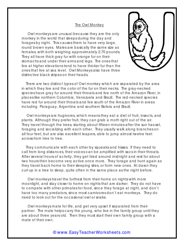Owl monkey download free pdf owl