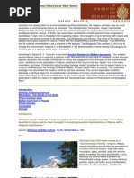 Download AT2H - Basics - Nature Worship by api-3764210 SN6991484 doc pdf