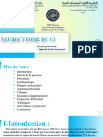 Neurocytome Du Troisieme Ventricule