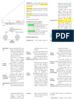 Revisão TGP Prova