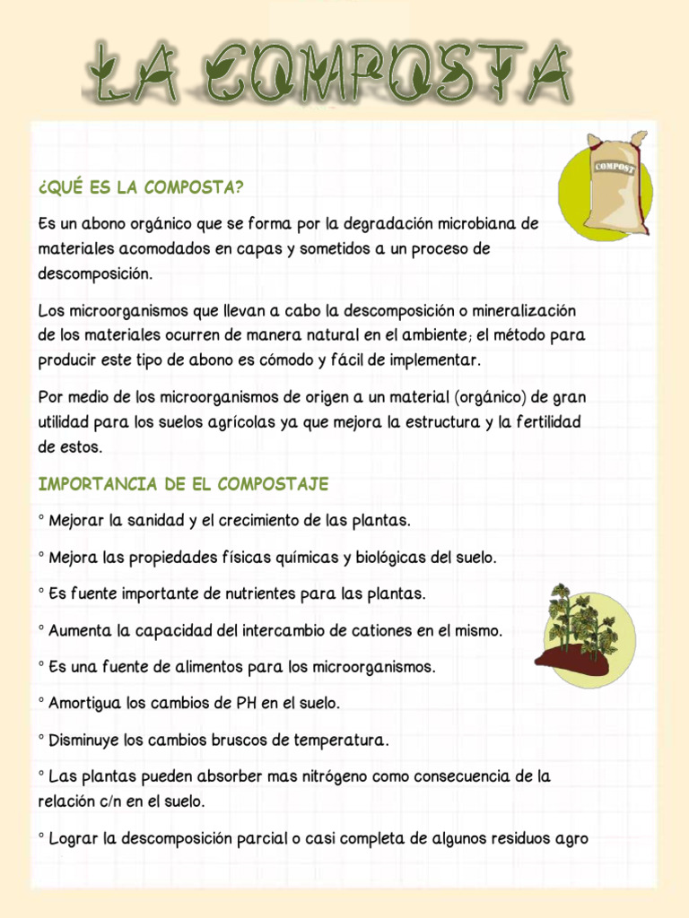 Guía Práctica para Hacer Composta | PDF | Compost | Materiales
