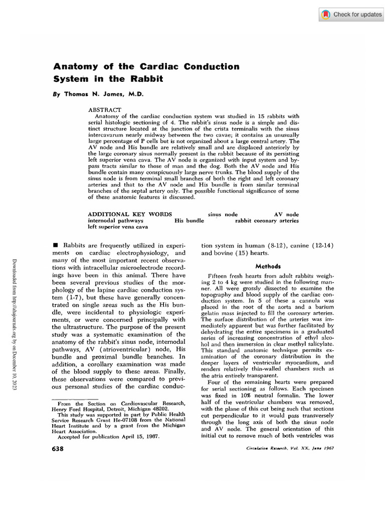 James 1967 Anatomy of The Cardiac Conduction System in The Rabbit | PDF ...