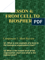 Lesson 4-6 NLC Science 