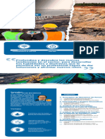 Uso de Software en Mecanica de Rocas