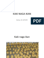 Pengolahan Kaki Naga Ikan Xi-4