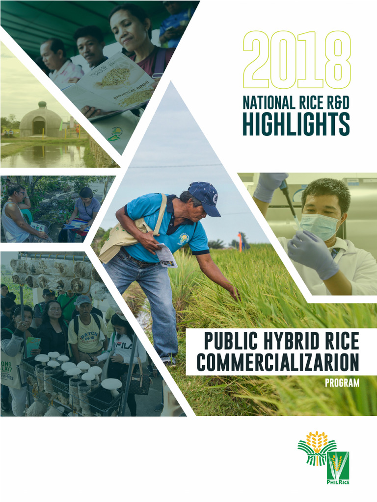 Public Hybrid Rice Commercialization Program | PDF | Rice | Plants
