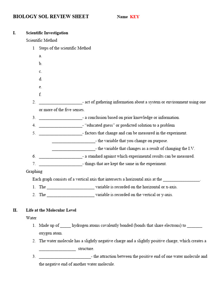 SOL Review Answer Sheet | PDF | Meiosis | Rna