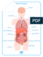 T2 S 055 Human Body Organs Display Posters Ver 2