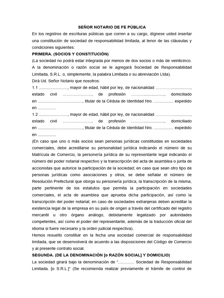plantilla-s-r-l-pdf-corporaciones-business
