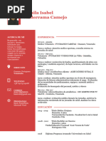 CV Kamila Titulo y Convalidacion