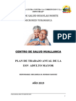 PLAN ANUAL ADULTO MAYOR -HUALLANCA-2019