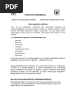 Tarea Habilidades Cognitivas