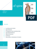 Problem of Spine