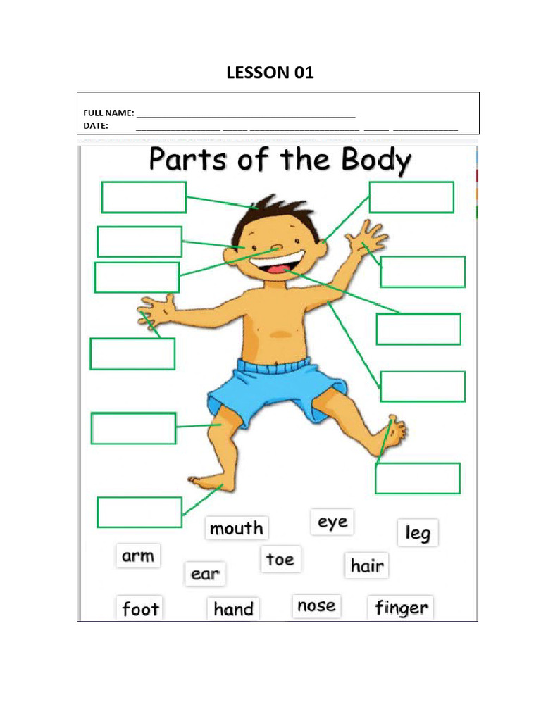 1. MY BODY | PDF