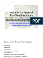 Pines Presentation
