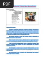 Características Gerais dos Mamíferos