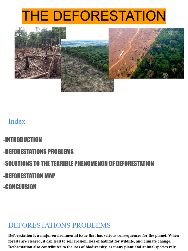 Deforestation Work | PDF