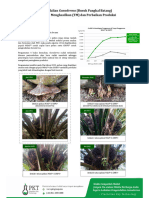 Pengendalian Ganoderma (Busuk Pangkal Batang) Pada Sawit Menghasilkan (TM) Dan Perbaikan Produksi