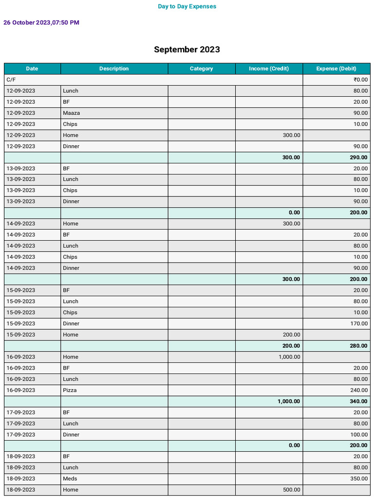 Day To Day - Expenses | PDF
