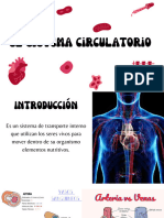 Sistema Circulatorio - 20231204 - 051738 - 0000