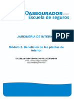 Módulo 2. Beneficios de Las Plantas de Interior