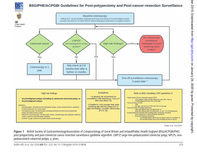 Surveillance Guidelines Recommendations | PDF | Colorectal Cancer ...