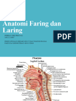 Pebrian Diki - Anatomi Laring Dan Faring