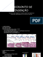 Aula 11 - Periodonto de InserÃ Ã o - Origem, Cemento, Osso Alveolar