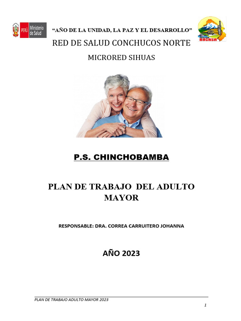 Plan de Trabajo para Adultos Mayores 2023 | PDF | Vejez | Adultos