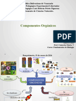 Presentación Componentes Organicos