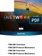 Cisco Pim DM SM