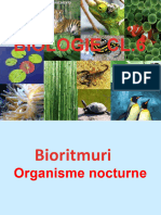 289092496 Organisme Nocturne Prezentare