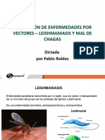 Prevención Contra Enfermedades Tropicales Por Vectores - Leismaniasis y Chagas