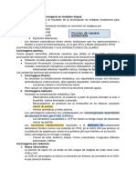 Base Molecular de La Carcinogenia en Múltiples Etapas