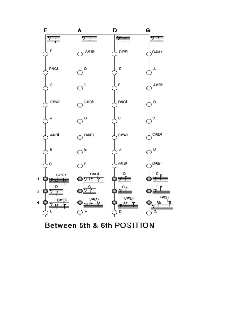 Bass Between 5th and 6th Position | PDF